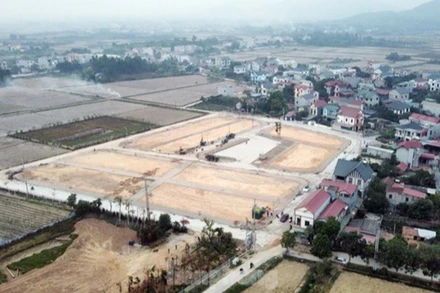 Khu đất đấu giá tại huyện Sóc Sơn. 