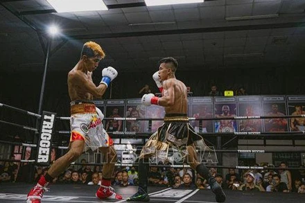 Võ sĩ Trần Văn Thảo (quần đen) thi đấu với võ sĩ người Philippines Prince Andrew Lario. 