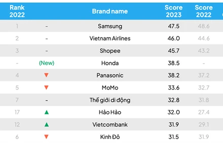Ảnh: Nguồn từ Decision Lab