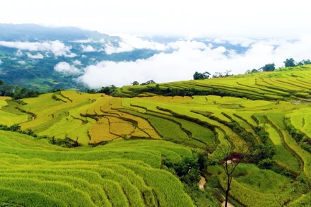 Ruộng bậc thang ở xã Hồng Thái, tỉnh Tuyên Quang. (Ảnh CHUNG-THẮNG)