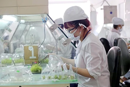 “Đầu kéo” cho nông nghiệp Việt Nam 