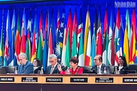 Chủ tịch Đại hội đồng UNESCO Simona-Mirela Miculescu gõ búa thông qua Nghị quyết. (Ảnh: MINH DUY)