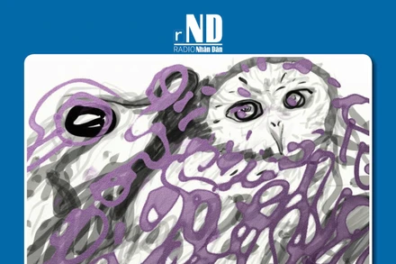 Truyện ngắn: Tiếng cú rơi đêm