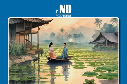 Truyện ngắn: Lúa và đất