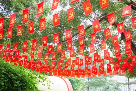 Sắc đỏ rực rỡ tại Viện Huyết học-Truyền máu Trung ương.