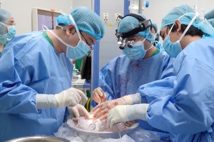 Các bác sĩ đang thực hiện lấy tạng từ người hiến chết não. (Ảnh: Bệnh viện Quân y 175)