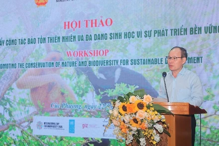 Lãnh đạo Cục Bảo tồn thiên nhiên và đa dạng sinh học phát biểu tại buổi hội thảo.