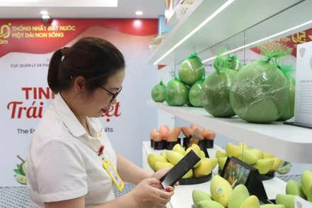 Khách tham quan có thể dễ dàng tra cứu thông tin chi tiết về sản phẩm thông qua việc quét mã.