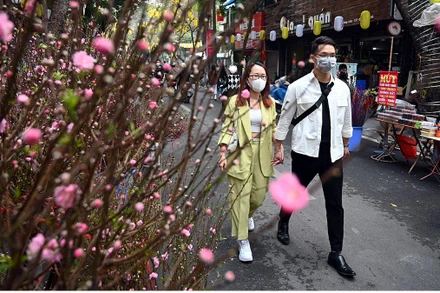 Chợ hoa xuân tại phố Hàng Lược (quận Hoàn Kiếm) luôn là điểm tham quan, mua sắm thú vị của người dân Hà Nội và khách du lịch trong dịp Tết Nguyên đán.