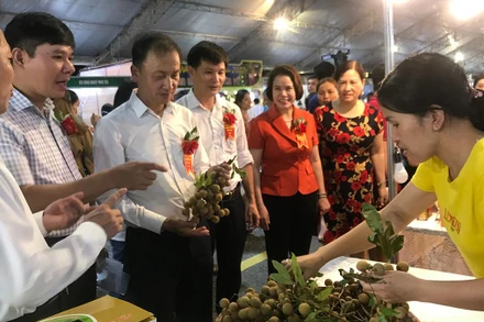 Hội chợ kết nối cung cầu tiêu thụ nhãn ở tỉnh Hưng Yên.