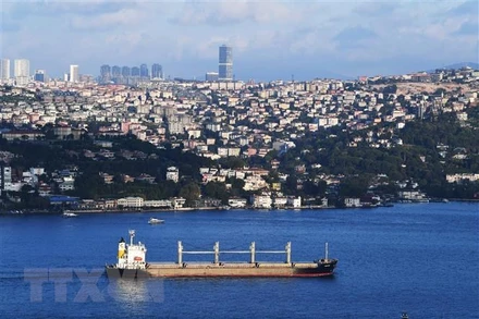 Tàu chở ngũ cốc di chuyển dọc Eo biển Bosphorus ở Istanbul, Thổ Nhĩ Kỳ, ngày 7/8/2022. (Ảnh: THX/TTXVN)