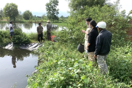 Đoàn kiểm tra tiến hành kiểm tra các hồ chứa nước thải của trang trại chăn nuôi.