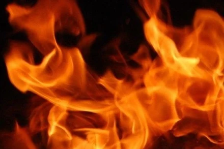 Ảnh minh họa. (Nguồn: newsfirst.lk/TTXVN)