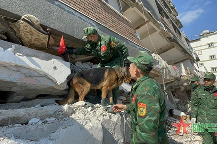 Bộ đội Công binh sử dụng thiết bị quan sát, đồng thời chó nghiệp vụ đánh hơi tìm kiếm tại vị trí khả nghi có nạn nhân. (Nguồn: Báo Quân đội nhân dân)