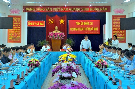 Công bố Quyết định thành lập Ban chỉ đạo phòng, chống tham nhũng, tiêu cực tỉnh Cà Mau.