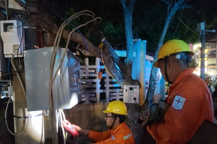 Công nhân ngành điện miền nam kiểm tra đường dây trước Tết Nguyên đán 2023.