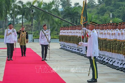 Quốc vương Sultan Ibrahim duyệt Đội danh dự tại lễ đăng quang ở Hoàng cung. (Ảnh: Bernama/TTXVN)