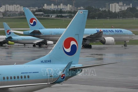 Máy bay của hãng hàng không Korean Air. Ảnh minh họa: AFP/TTXVN