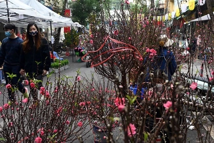 Người dân Hà Nội vãn cảnh tại chợ hoa xuân Hàng Lược. (Ảnh: Duy Linh)