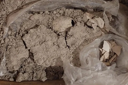 Trứng chim hồng hạc hóa thạch mới được tìm thấy tại Mexico. (Ảnh: INAH/El País)