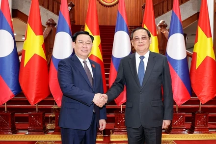 Chủ tịch Quốc hội Vương Đình Huệ hội kiến Thủ tướng Chính phủ Lào Sonexay Siphandone. (Ảnh: TTXVN)