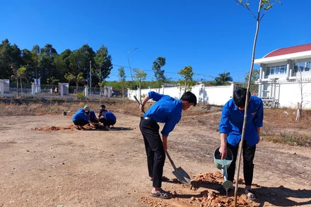 Đoàn viên, thanh niên huyện Sa Thầy ra quân trồng cây xanh.