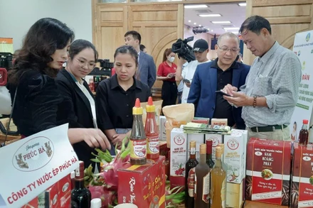 Các đại biểu tham quan các sản phẩm nông nghiệp sạch được trưng bày tại diễn đàn.