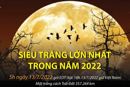 Ảnh minh họa. (Nguồn: TTXVN)