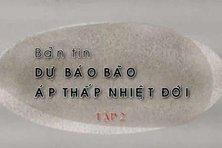 Bản tin dự báo bão, áp thấp nhiệt đới