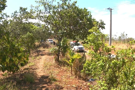 Khu vực vườn cà-phê phát hiện thi thể người đàn ông bị cháy đen thuộc thôn Tân Hiệp, xã Đắk R’moan, thành phố Gia Nghĩa.