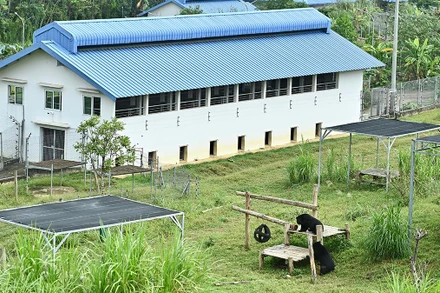 Ngôi nhà của những chú gấu hạnh phúc.