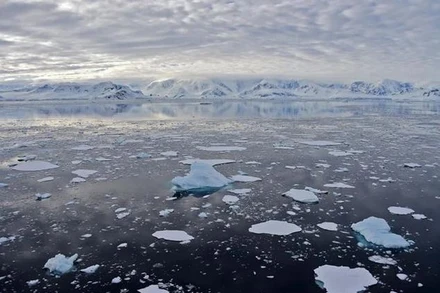 Băng trôi tại Vịnh Chiriguano, quần đảo Nam Shetland, Nam Cực, ngày 7/11/2019. (Ảnh: AFP/TTXVN)