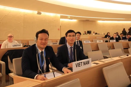 Đại sứ Mai Phan Dũng phát biểu tại phiên họp.