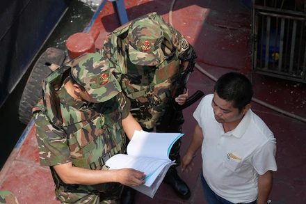 Hải đội 1 (Cục Điều tra chống buôn lậu, Tổng cục Hải quan) kiểm tra chứng từ hàng hóa nhập khẩu.