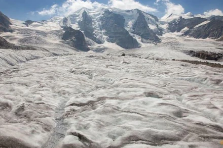 (Nguồn: Reuters/TTXVN)