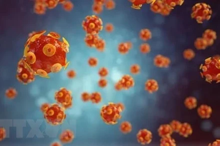 Hình ảnh mô phỏng virus gây bệnh viêm gan. (Ảnh: Getty Images/TTXVN)