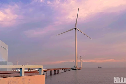 Năng lượng gió là một nguồn năng lượng tái tạo, sạch và không gây ô nhiễm môi trường (Trong ảnh: Nhà máy điện gió Bạc Liêu).