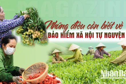 Những điều cần biết về bảo hiểm xã hội tự nguyện
