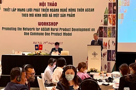 Đại diện nhiều nước trong khu vực ASEAN tham dự hội thảo.
