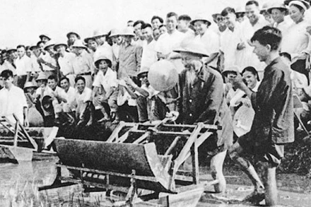 Bác Hồ dùng thử máy cấy lúa cải tiến tại Trại thí nghiệm trồng lúa Sở Nông lâm Hà Nội (16/7/1960). (Ảnh: TL)