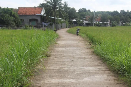 Một khu vực xây dựng công trình dự án cao tốc bắc–nam đi qua tại huyện Tuy An nhưng chưa được bàn giao mặt bằng.