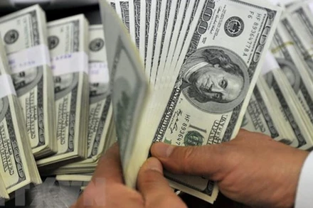 Đồng USD. (Ảnh: AFP/TTXVN)
