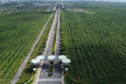  Dự án Gem Sky World tại xã Long Đức, huyện Long Thành. 