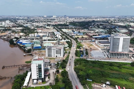 Một góc khu công nghiệp Biên Hòa 1 hiện hữu.