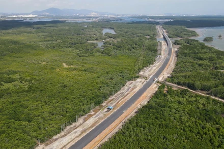 Tuyến đường kết nối cảng Phước An băng qua rừng ngập mặn xanh bát ngát.