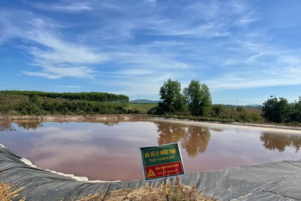 Hồ xử lý nước thải của một trang trại chăn nuôi lợn tại Đồng Nai. 