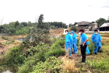 Bí thư Tỉnh ủy Đồng Nai Nguyễn Hồng Lĩnh cùng Đoàn công tác kiểm tra tại một cơ sở chăn nuôi lợn ở huyện Long Thành năm 2023.