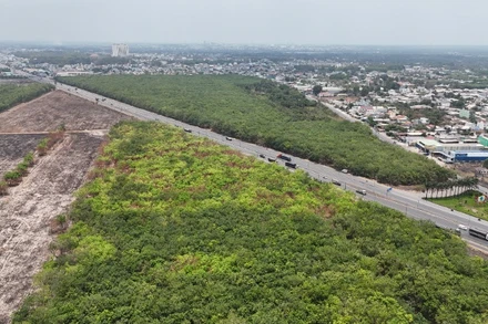 Đồng Nai xác định việc đấu giá đất là nhiệm vụ cấp bách, một trong những giải pháp để đạt mục tiêu tăng trưởng 2 con số trong năm 2025 và các năm tiếp theo.