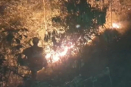 Hàng trăm người đang xuyên đêm dập lửa đám cháy rừng ở Nam Đàn.