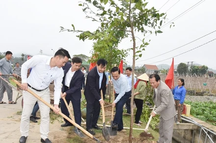 Lãnh đạo Hội Nông dân tỉnh Nghệ An và huyện Quỳnh Lưu, Hội Nông dân các địa phương trồng cây.